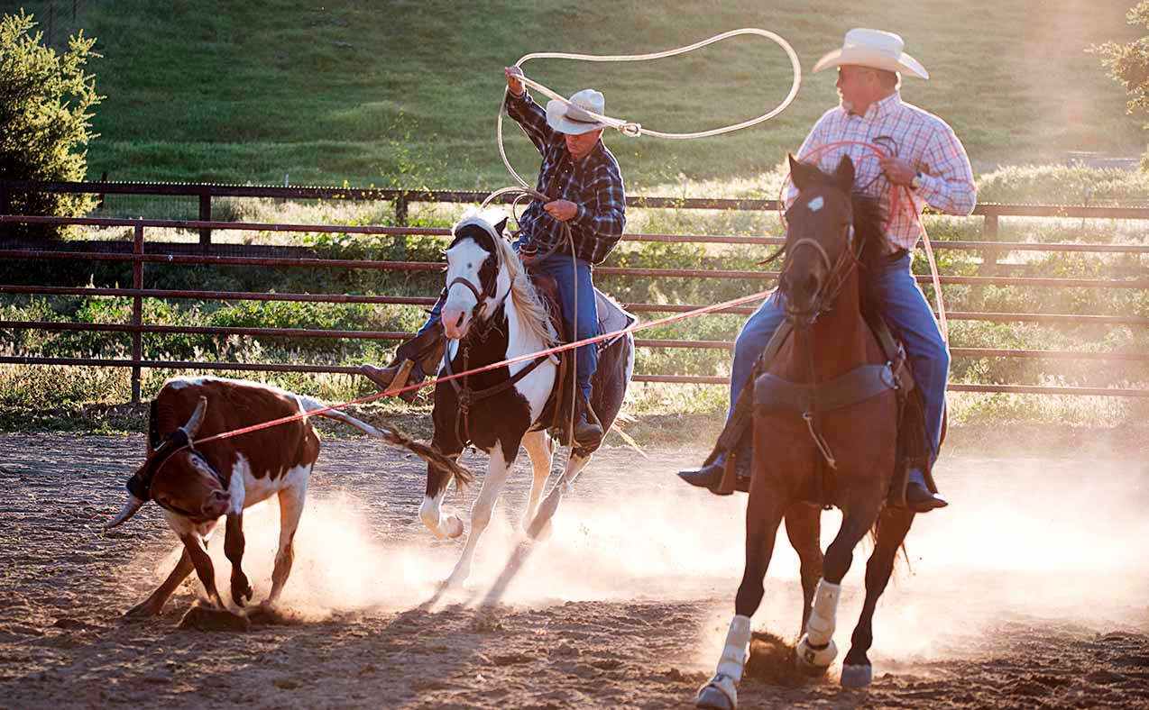 Rodeos in Kalifornien mit Alisal