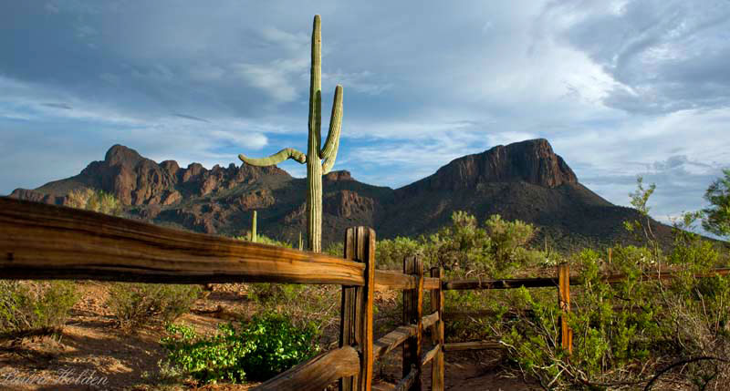 Landschaft inWhite Stallion Ranch - Arizona