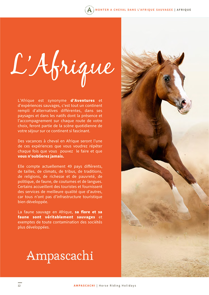 Ebook Afrique - Introduction 2