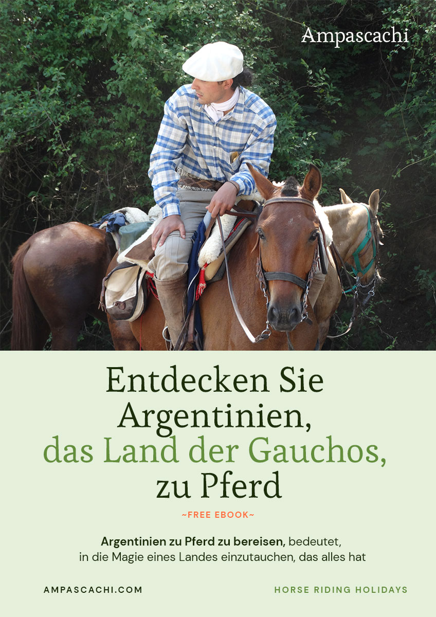 Argentinien ebook cover
