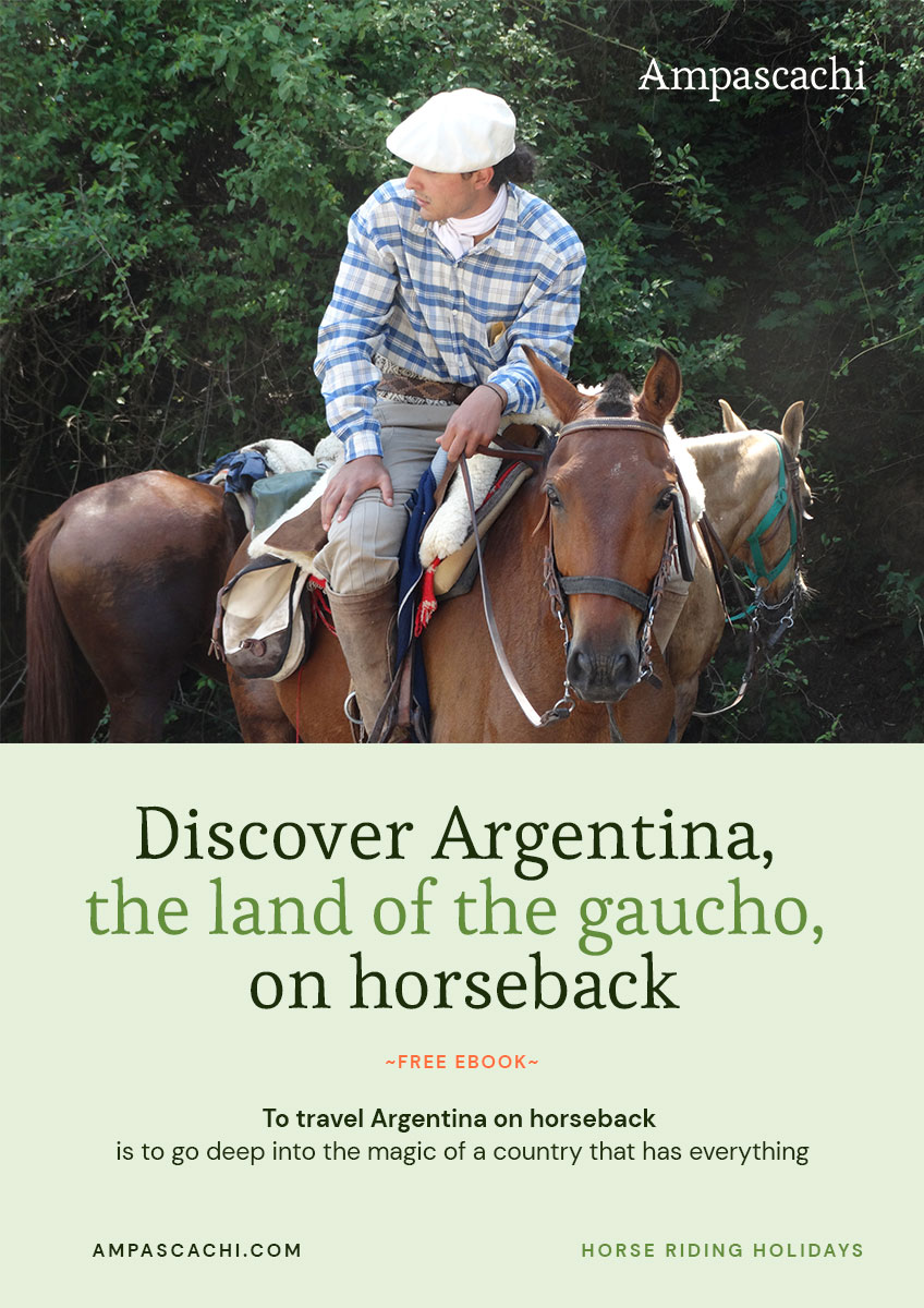 Cover page Ebook Argentina