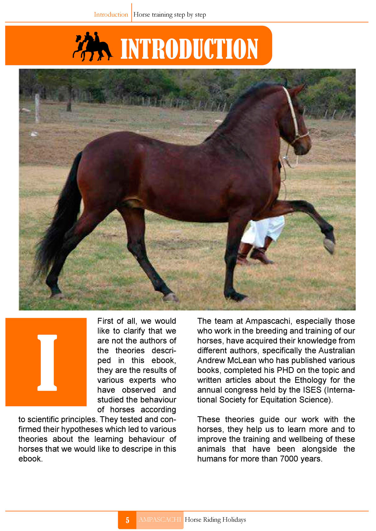 Ebook Horse training - Introduction 1