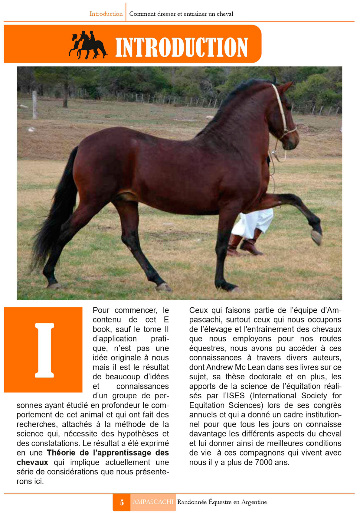 Ebook Dressage des chevaux - Introduction 1