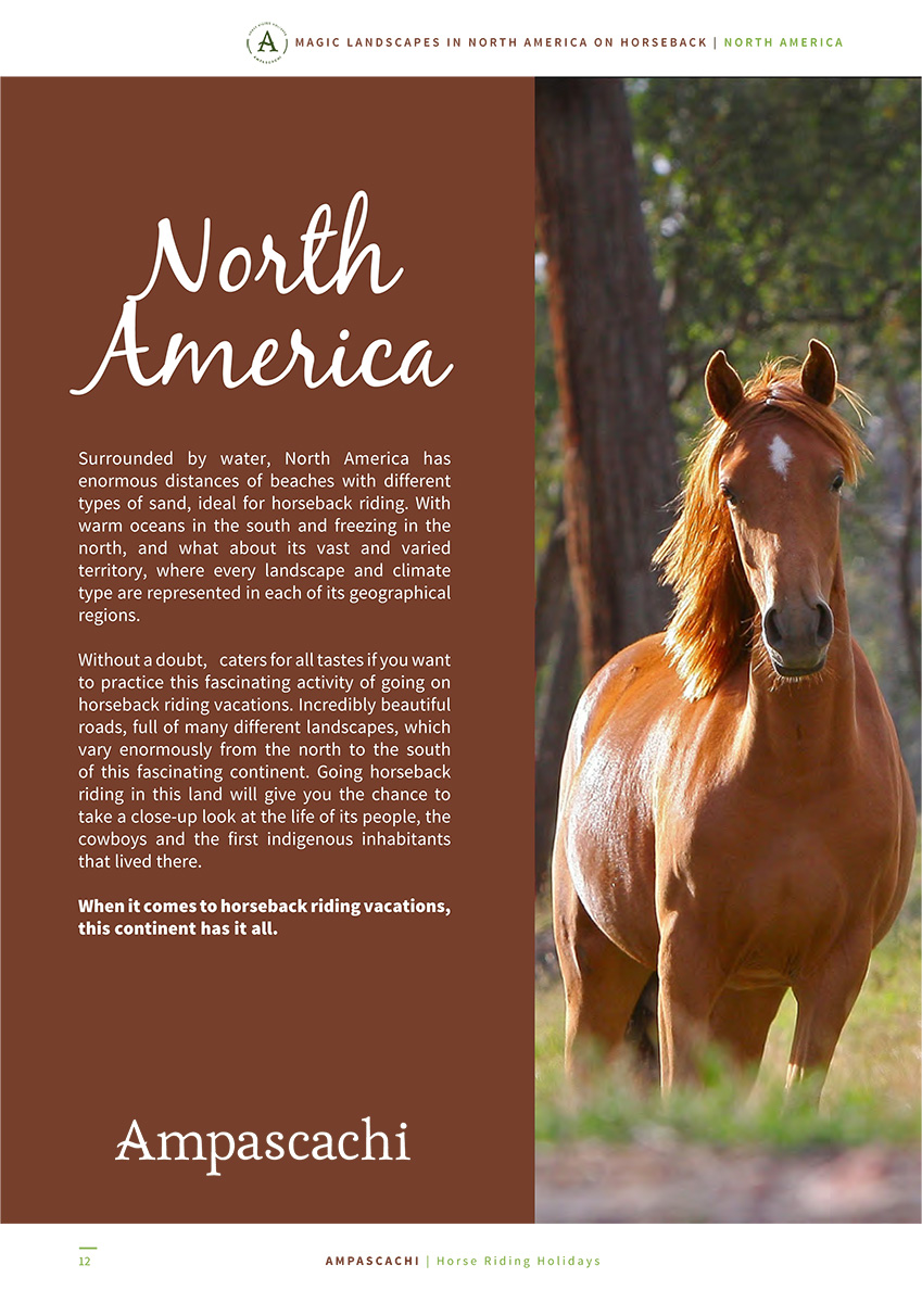 Ebook North America - Introduction 2