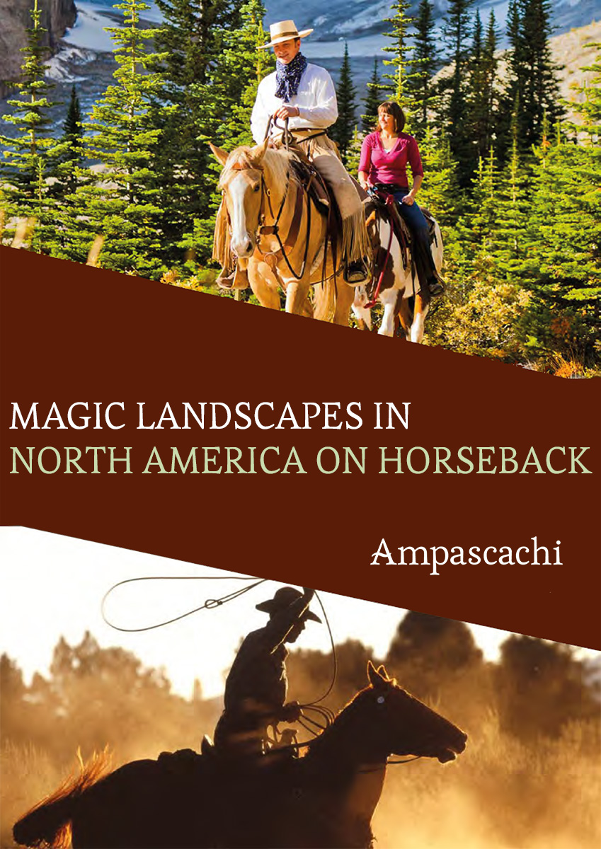 Cover page Ebook North America