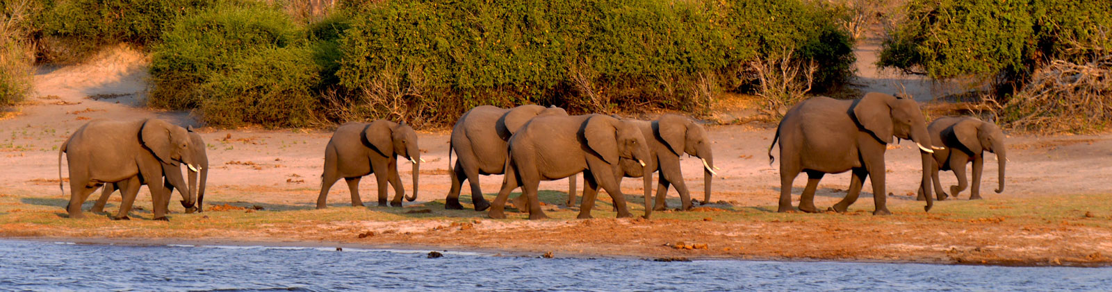 Vacances à Cheval en Botswana