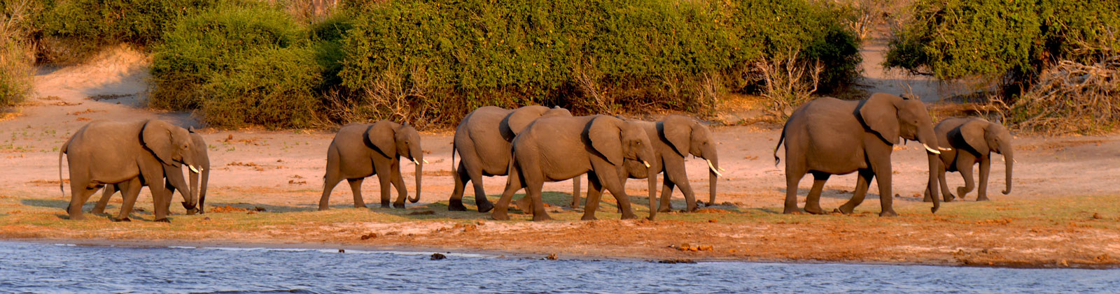 Horse Riding Holidays in Botswana