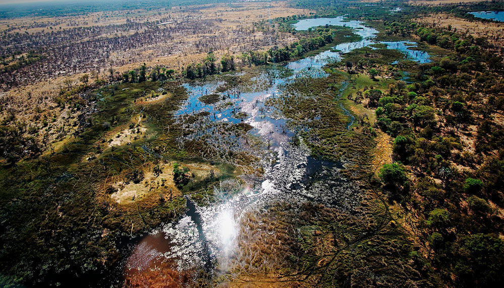 Okavango delta