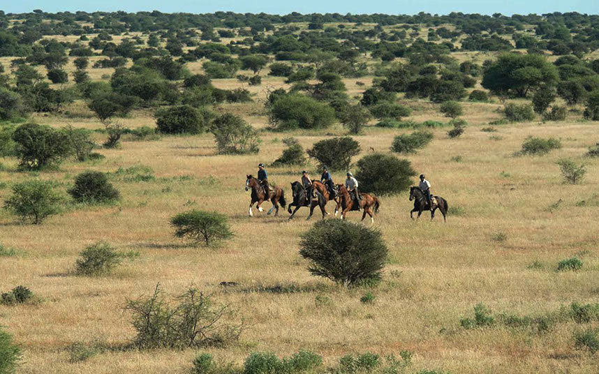 Route à cheval