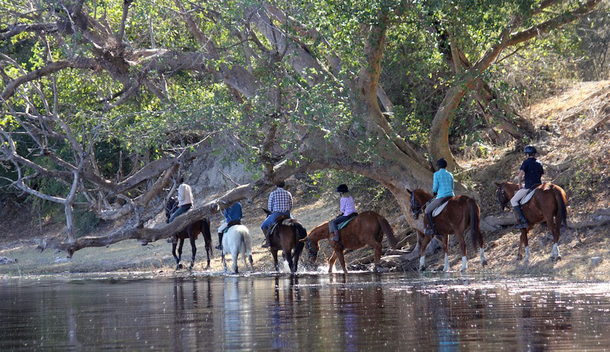 Horseback riding on the river