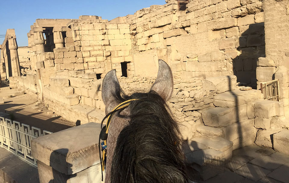 Luxor à cheval