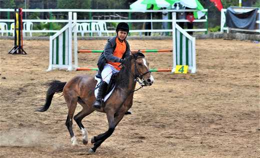 Cours d'équitation