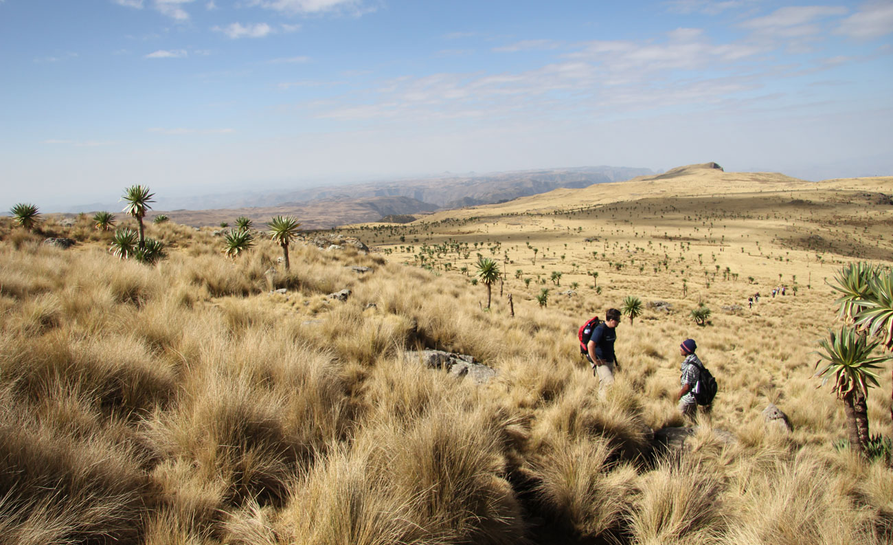 Simien National Park