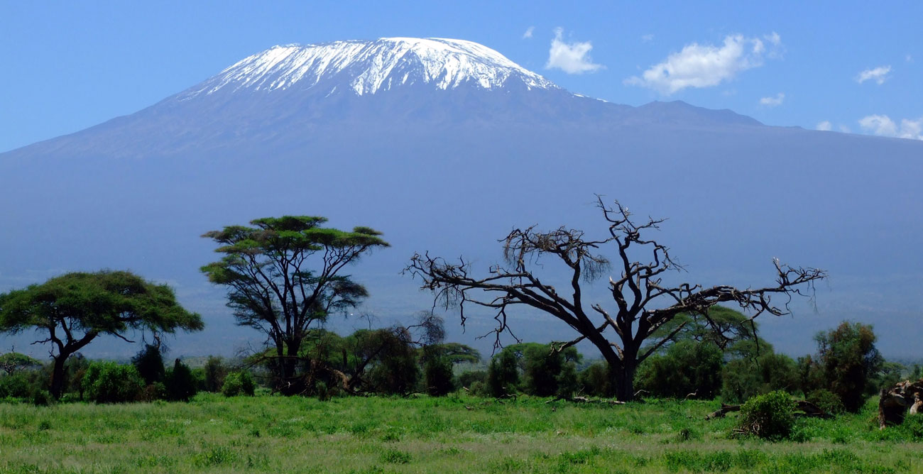 kilimanjaro