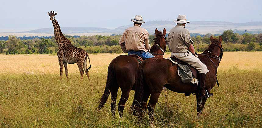 Encounter with the giraffe