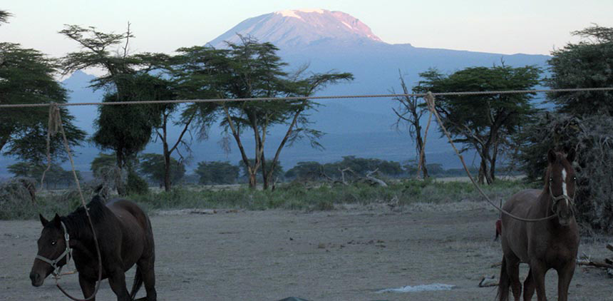 Kilimanjaro views