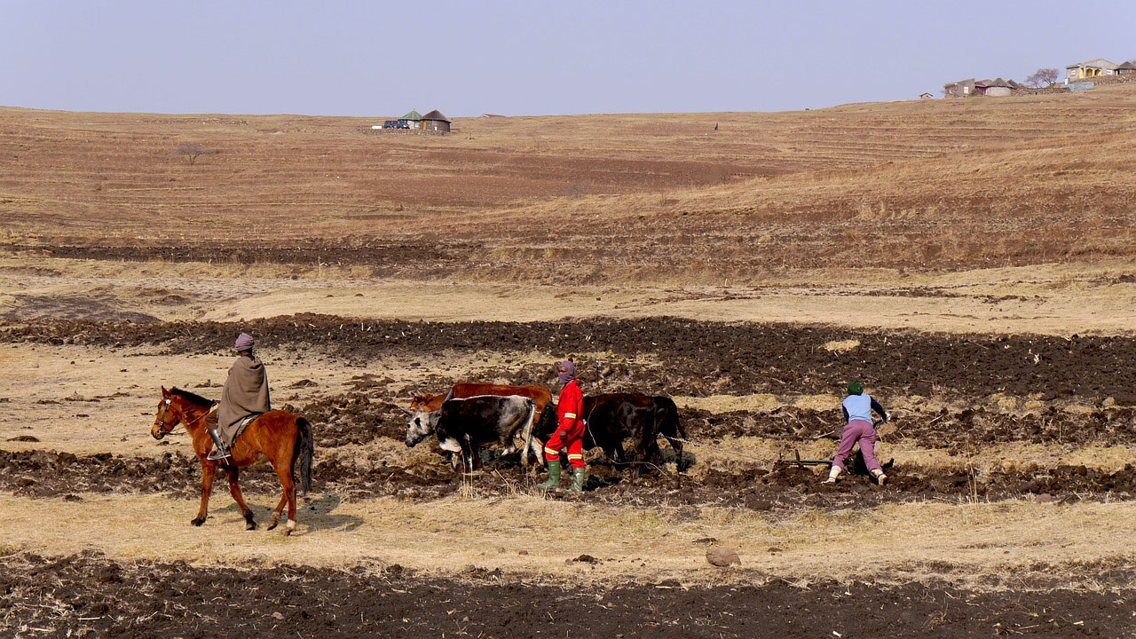 Les agriculteurs