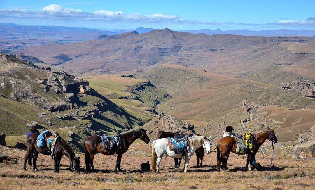 Route à cheval