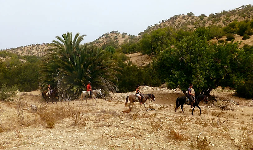 Route à cheval