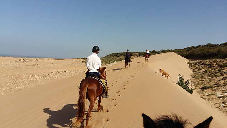 Balade à cheval à travers les dunes
