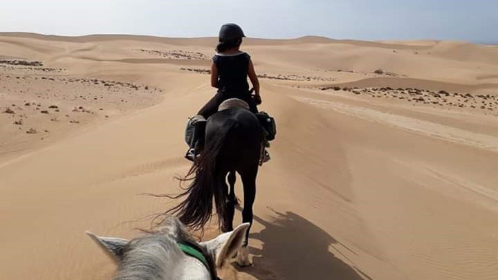 Balade à cheval à travers les dunes