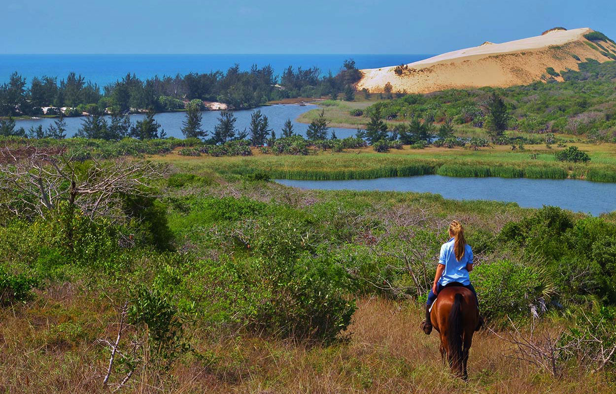 Route de l'île de Bengerra