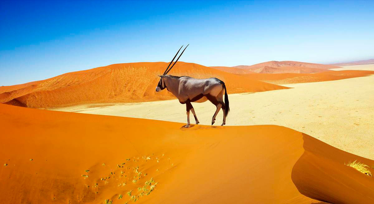 Namibia a Caballo