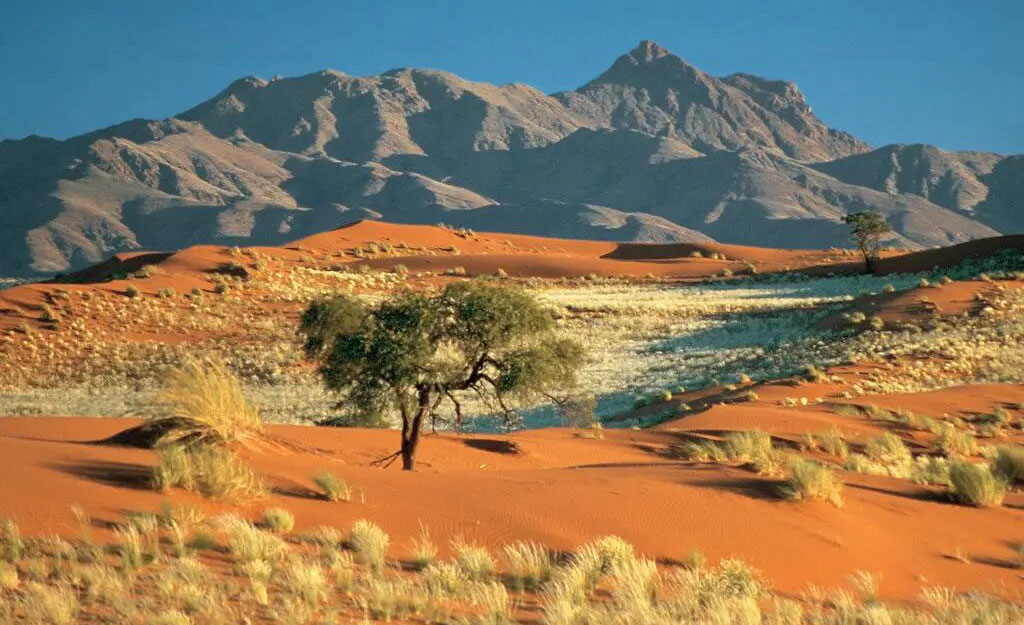 Namibian desert