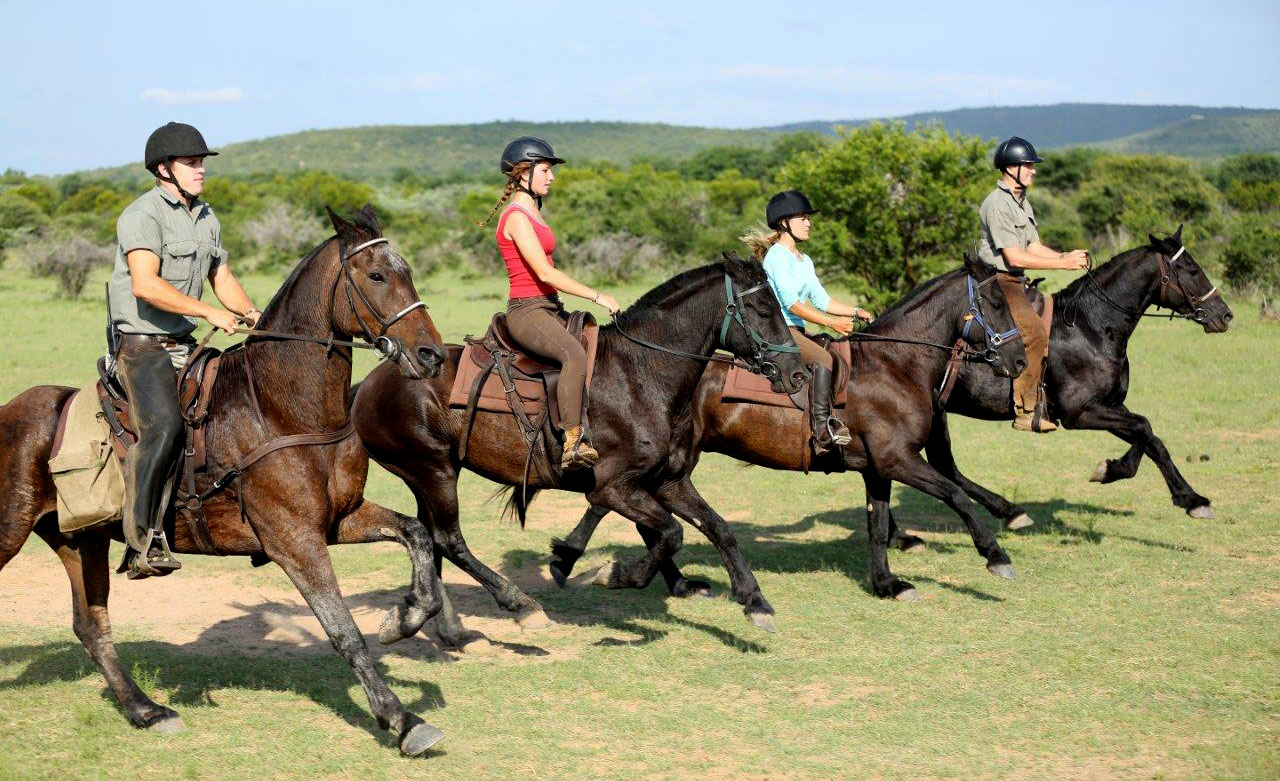 Horse trail South Africa