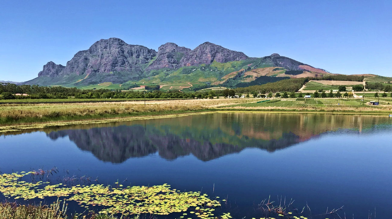 Cape Winelands