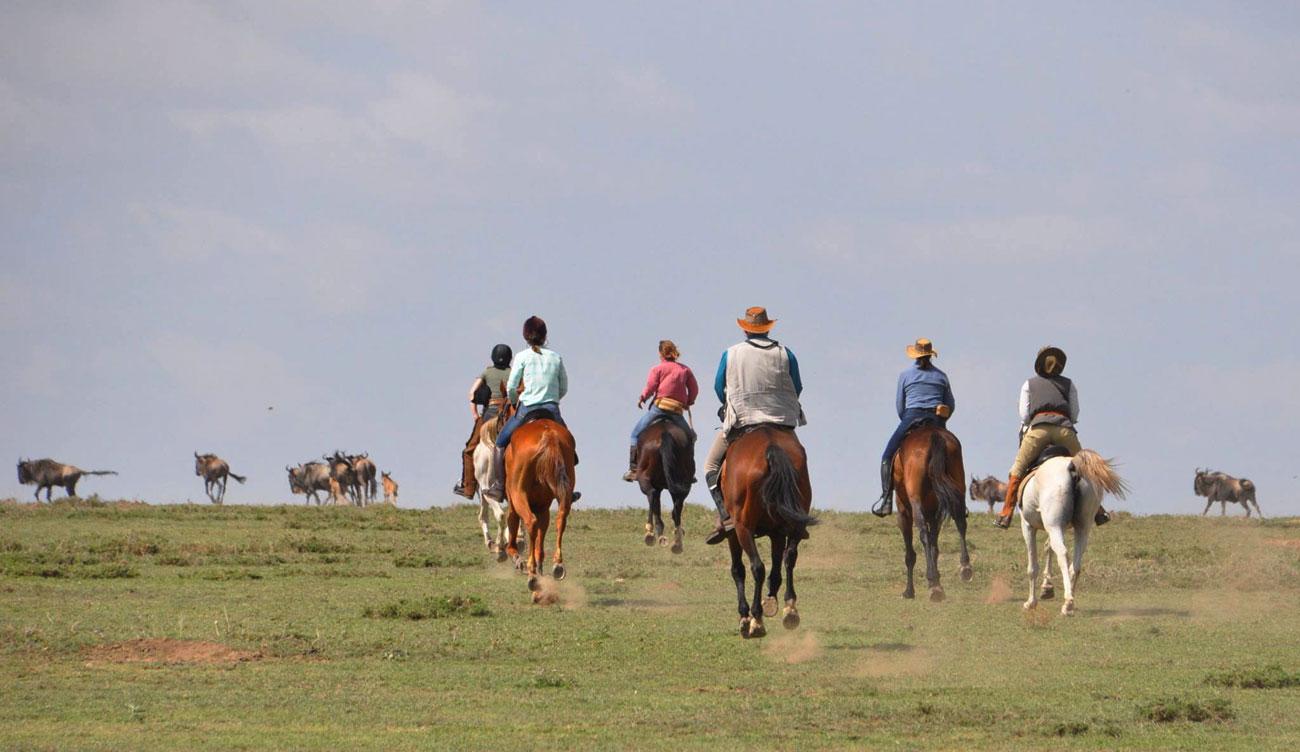Horse ride through the Serengeti