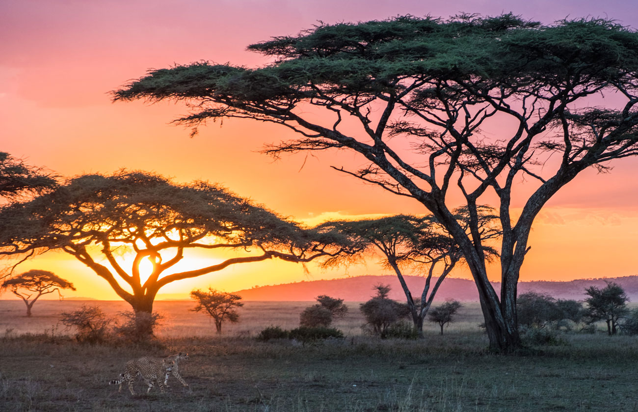 Coucher de soleil en Tanzanie