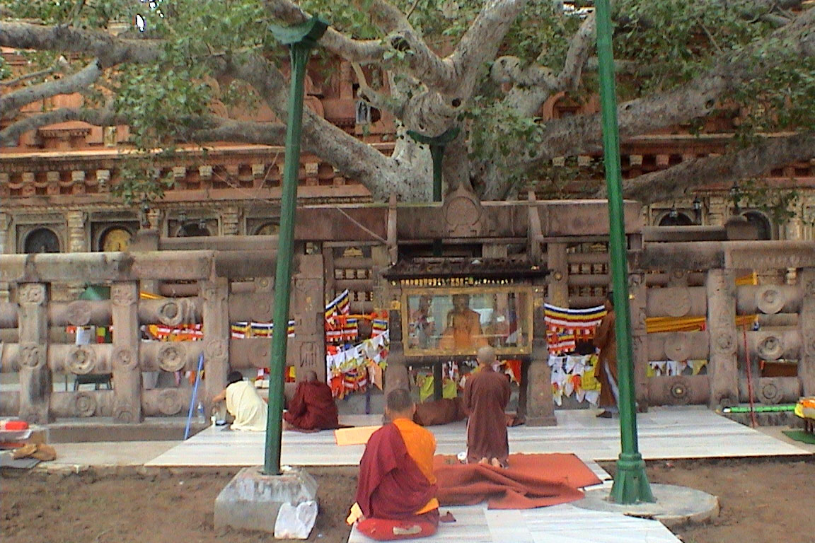 Arbre sacré à Bodhgaya