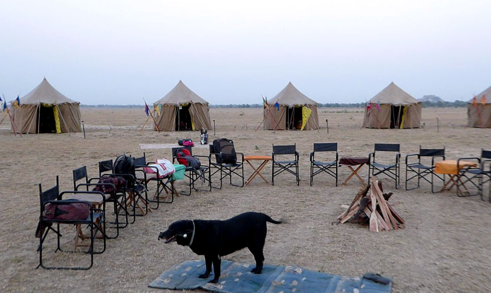 Camping dans le Safari à cheval