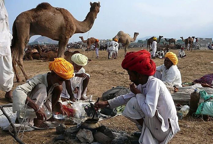 Foire aux chameaux de Pushkar