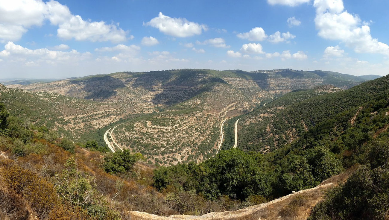 Vallée du Sorek