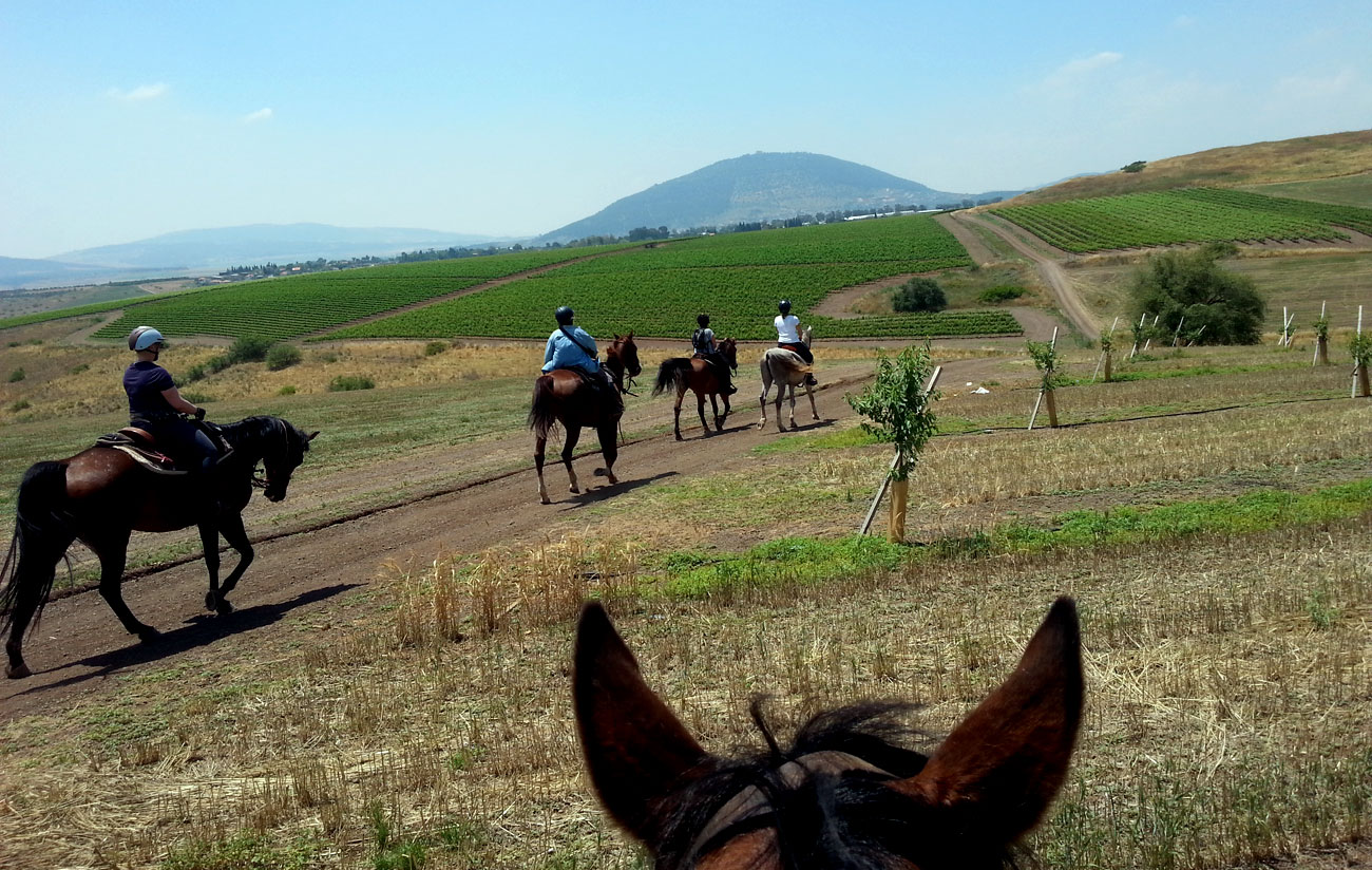 À cheval vers le mont Tabor
