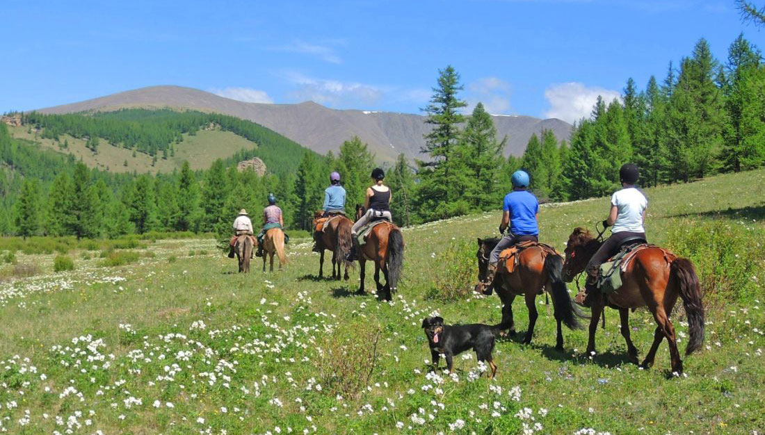 Parc National Gorkhi Terelj