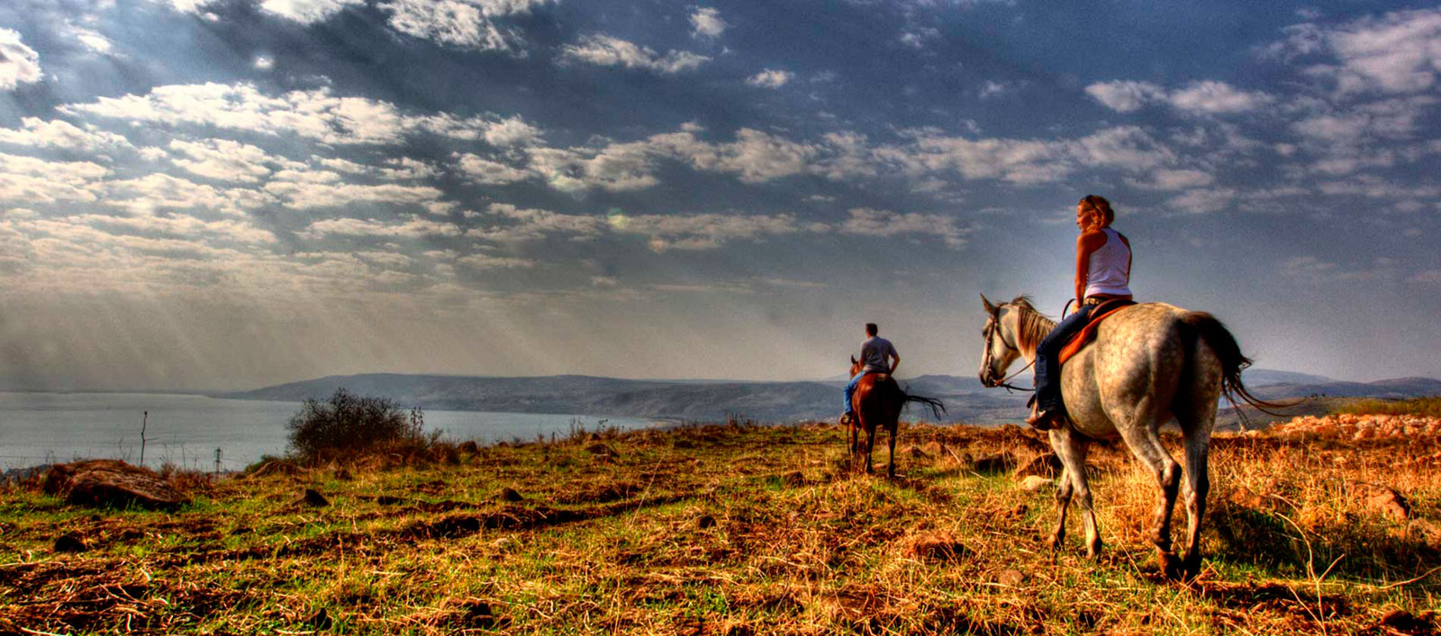 Equestrian Tourism in Israel