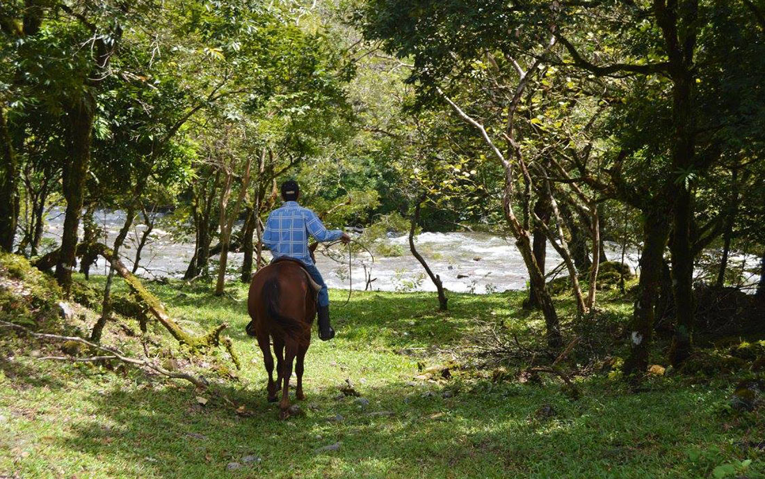 Tour Panama