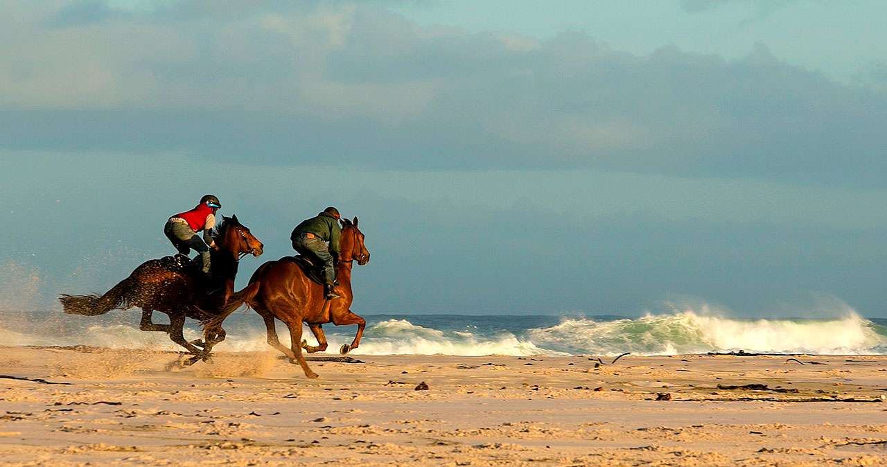 Equestrian Tourism Options in Europe