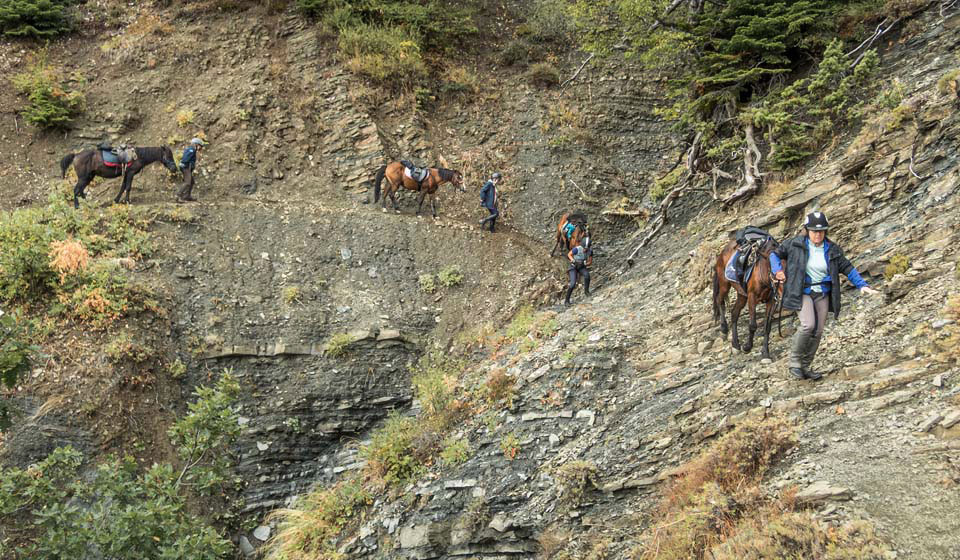 Route à cheval