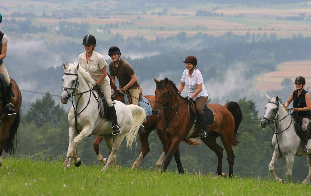 route du cheval