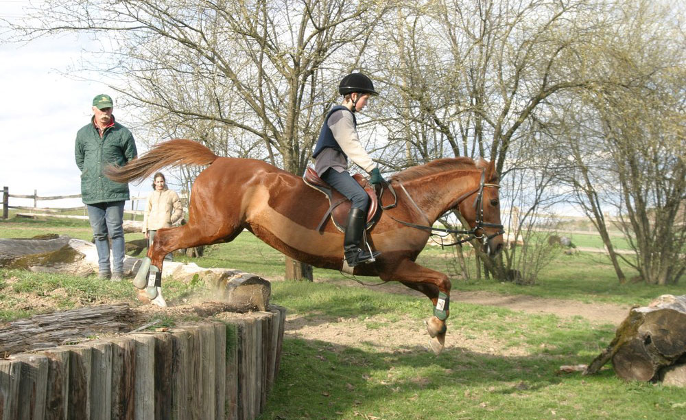 saut de cheval