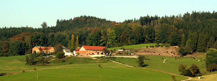 Farm Overview