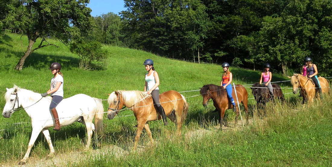 Horse ride Austria