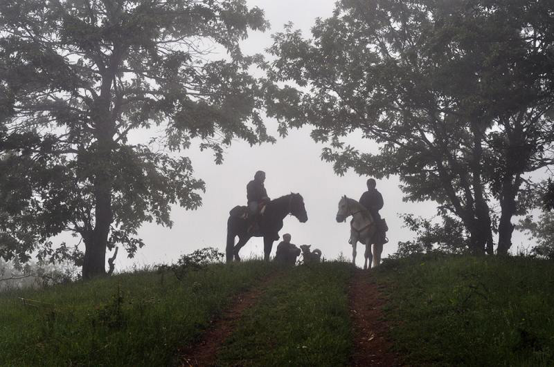 Chevaux dans les Balkans Bulgarie