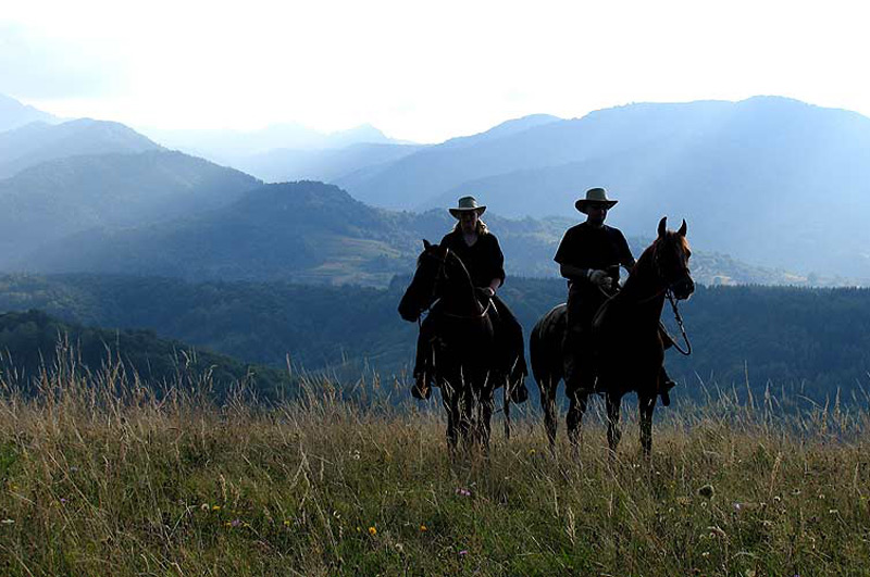 Chevaux dans les Balkans