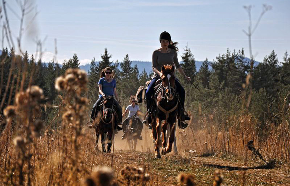 Route à cheval Bulgarie