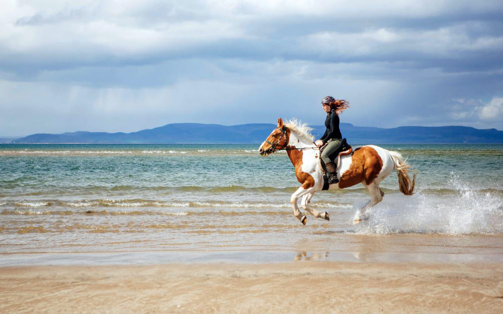 Galloping down the beach